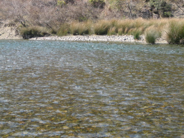 f0137499_1142565.jpg