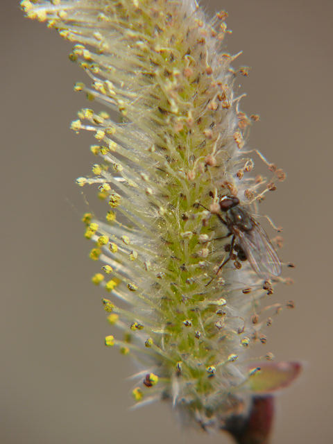 a0067201_6401639.jpg