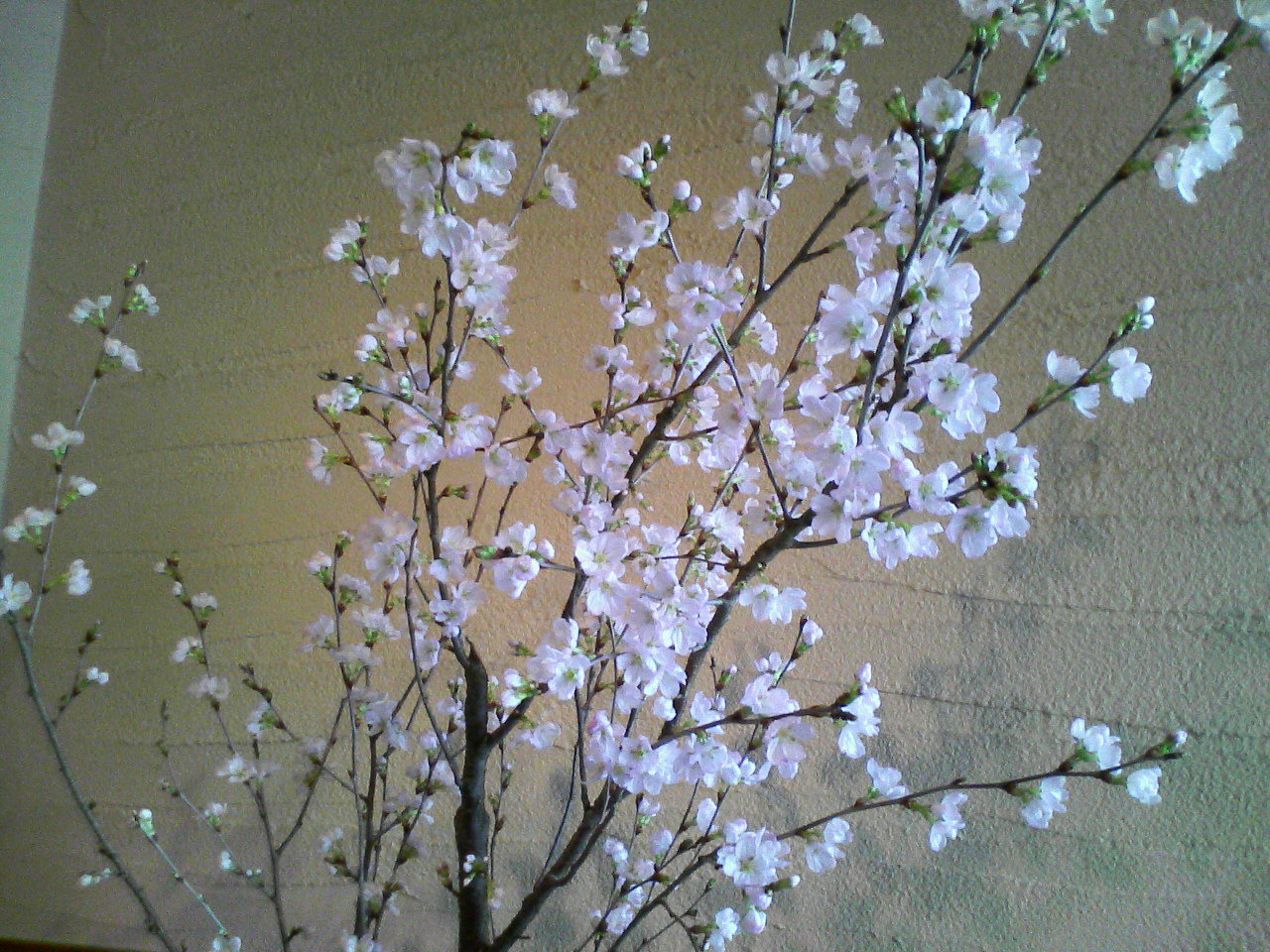 d0000607_13173654.jpg