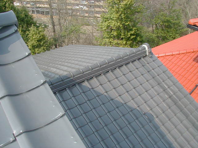 b0099212_17343254.jpg