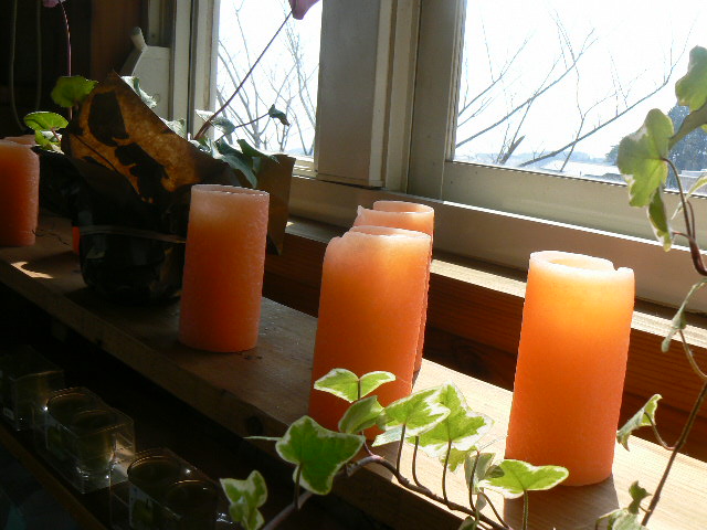f0131120_16451571.jpg