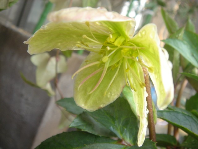 c0003723_19551464.jpg