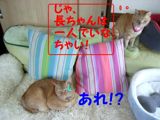 d0081025_11382087.jpg