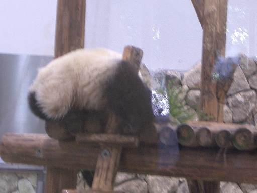 c0081227_2425427.jpg