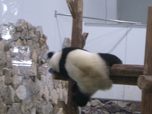 c0081227_243620.jpg