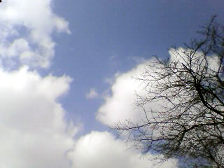 e0037129_14535748.jpg