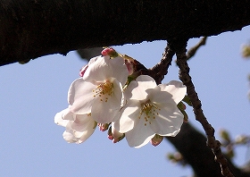 f0055329_2318445.jpg