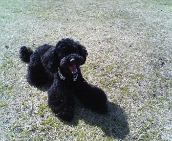 f0076529_0143726.jpg