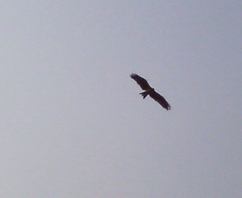 f0076529_0213997.jpg