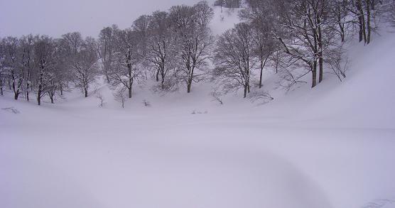 f0118332_23404984.jpg