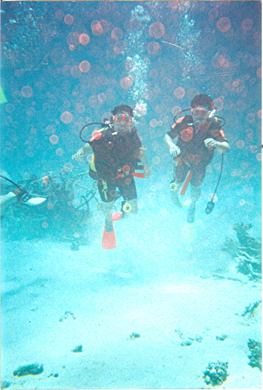 f0118932_2342955.jpg
