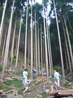 f0123142_17441826.jpg