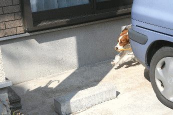 d0013149_10302248.gif