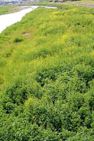 a0024250_224414.jpg