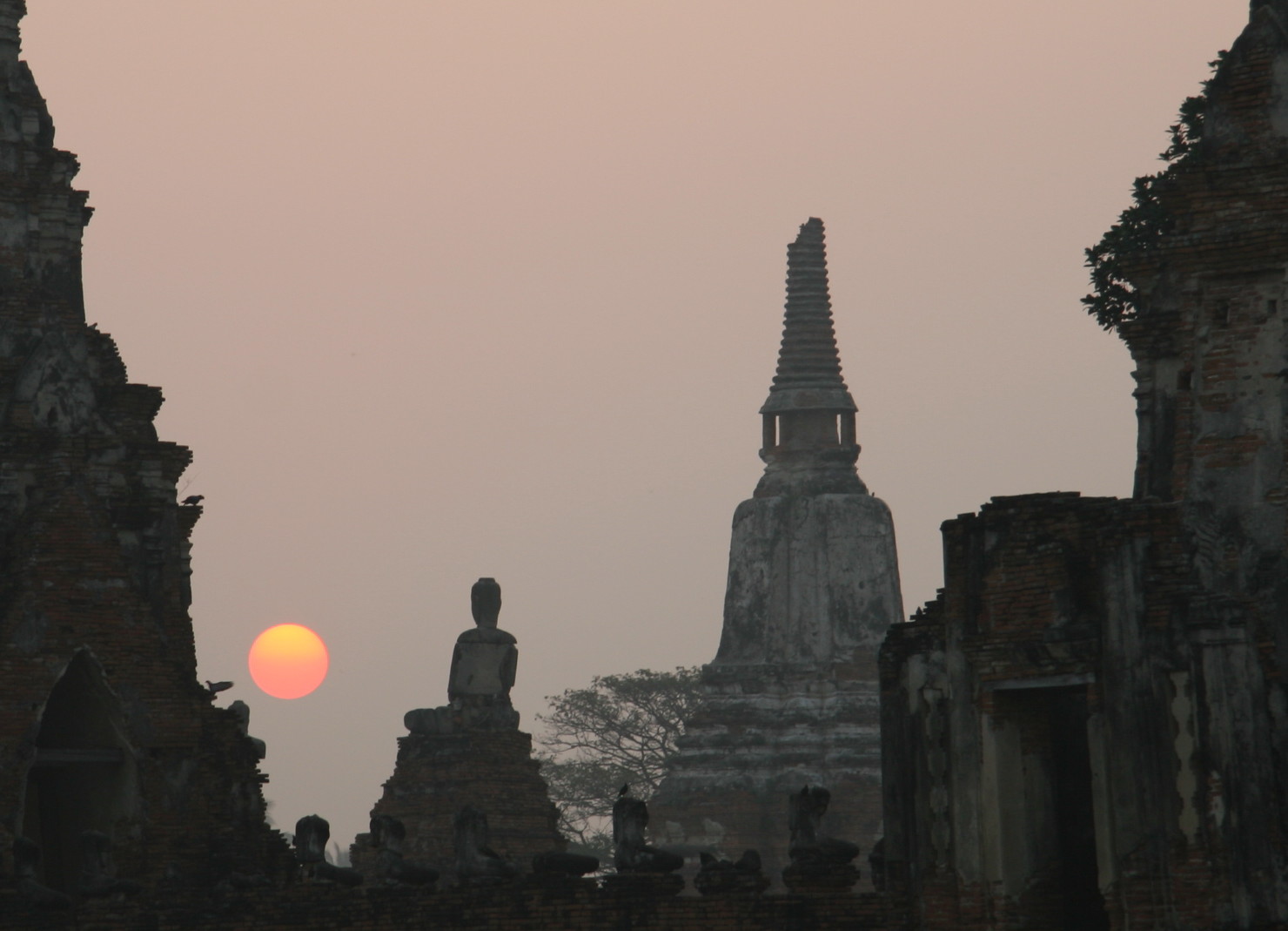 a0094850_166483.jpg