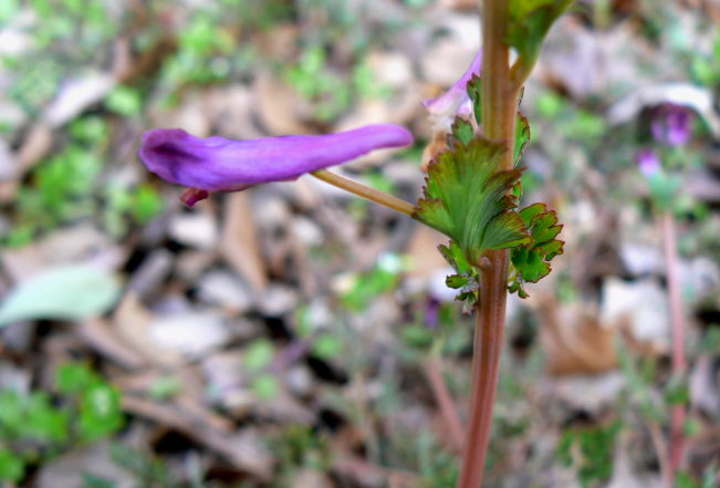 d0091754_041873.jpg