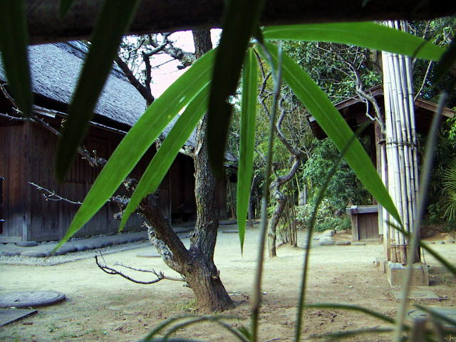 c0031856_21171574.jpg