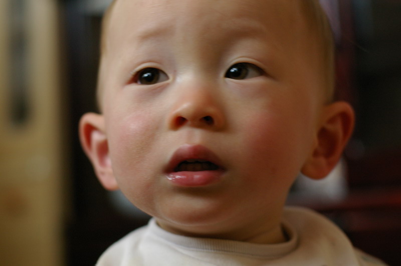 e0047361_148530.jpg
