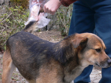 a0063364_0294169.jpg