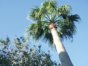 e0048867_13432684.jpg