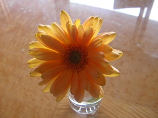 b0109874_20463010.jpg