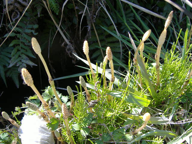 a0071683_0131219.jpg