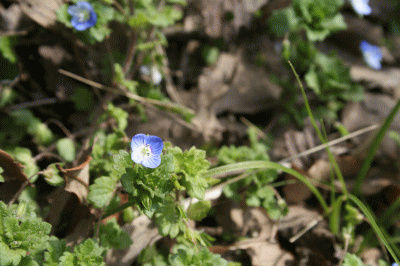 d0100192_21192657.gif