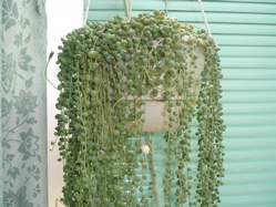 f0130894_22144225.jpg