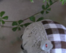 f0109900_17505387.jpg