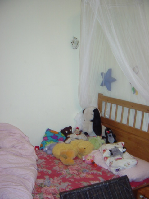 c0048504_0463515.jpg