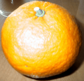 a0006605_2152387.gif