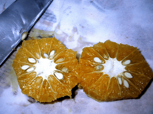 a0006605_2154533.gif