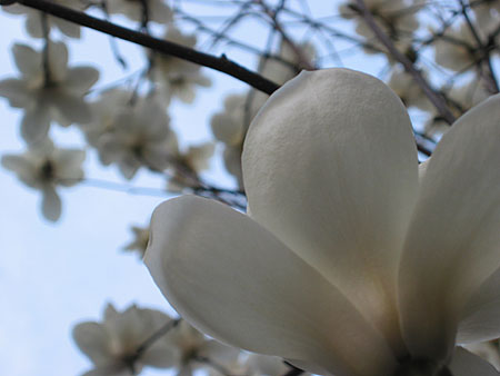 a0041508_0353139.jpg