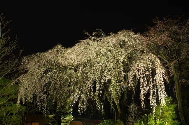 f0040525_232332100.jpg