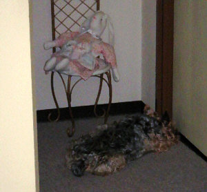 妹の部屋のドアの前で、隙間に鼻をくっつけてベターっとうつ伏せに寝そべっている状態。クンクンやって開けて~と催促のポーズです。