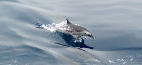 e0087035_9141431.jpg