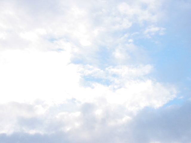 a0095337_20423072.jpg