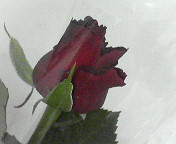 b0074746_0123713.jpg