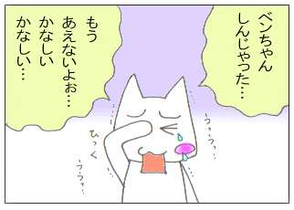 c0064647_364986.gif