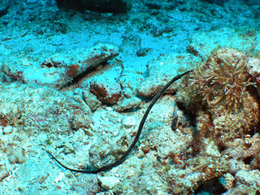 d0065247_2211892.jpg