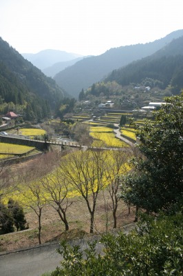 f0042548_23185560.jpg