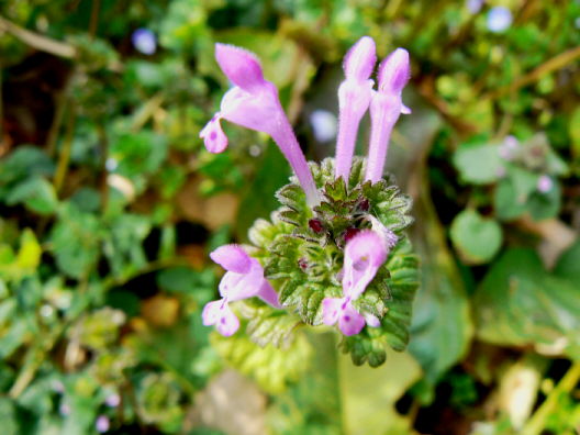 d0091754_17341184.jpg