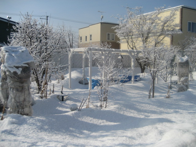 a0075455_21112631.jpg
