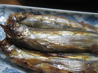 a0075455_21343312.jpg