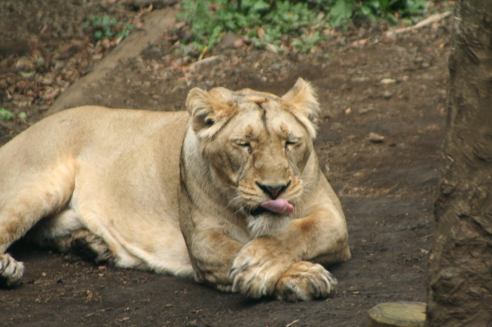 e0086860_1033676.jpg