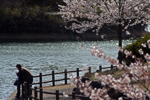 c0114161_14215235.jpg