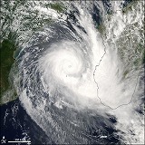 b0086362_16161065.jpg