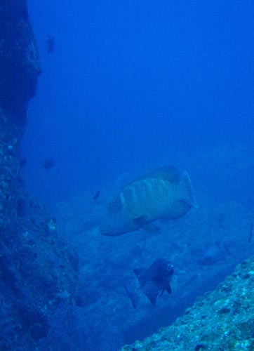 b0062363_18411587.jpg