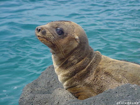 f0050468_11341634.jpg