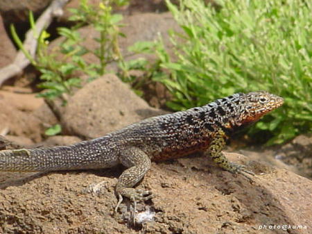 f0050468_1135281.jpg